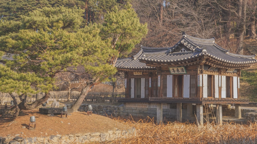 국민내일배움카드학원 참고 이미지 2