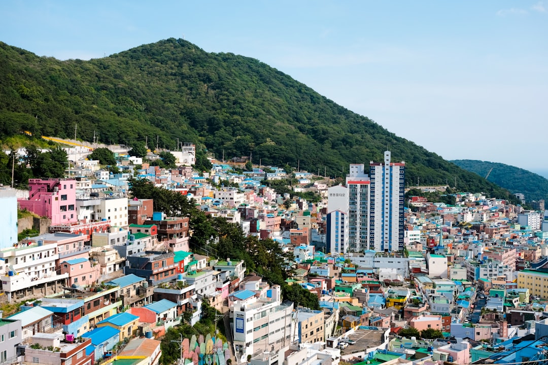 숙제 참고 이미지 2
